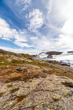 Bu çarpıcı manzara, karla kaplı görkemli dağlar ve güzel gökyüzü tarafından çerçevelenmiş buzul gölü yakınlarındaki yosun ve ot parçalarını gözler önüne seriyor..