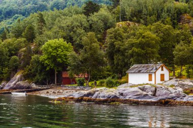 Yeşil tepelerin ve sakin suların zeminine kurulmuş, Norveç 'teki doğanın güzelliğini yansıtan kırmızı bir bina eşliğinde, kırsal beyaz bir evin huzurlu manzarası..