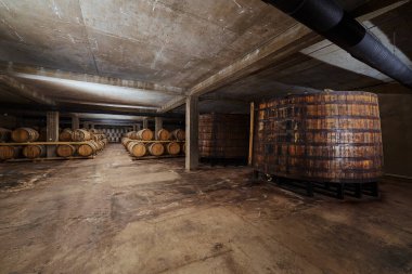 Şarap mahzeninin büyüleyici görüntüsü, yaşlanmakta olan içecekler için tasarlanmış soğuk, loş bir yeraltı ortamında titizlikle yapılandırılmış bir dizi ahşap fıçıyı sergiliyor..