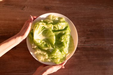 Canlı bir tabak taze, taze marul elle tutuluyor, ahşap bir masa arkasına kurulmuş, sağlıklı yemek ve taze malzemelerle pişirmeyi simgeliyor..