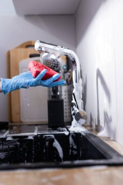 Bu resim, su musluğunun altında kırmızı bir sünger tutan mavi eldiven giyen bir eli gösteriyor. Sabun köpükleri ve mutfak malzemeleri görünür, temizliği ve aktif yıkamayı vurguluyor.