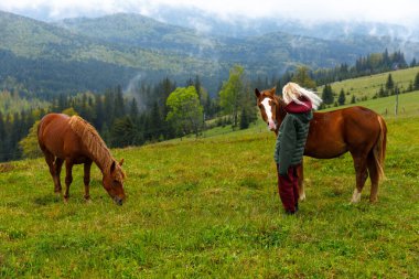 Güzel yeşil bir çayırda iki atla yakın ilişki kuran genç bir insanı gösteren sakin bir sahne, engebeli tepeler ve görkemli dağlara karşı kurulmuş..