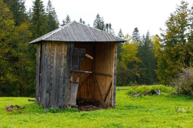 Bu resim, gür ağaçlarla çevrili canlı yeşil bir çayırdaki harap olmuş ahşap bir barakayı gösteriyor. Doğanın ıslah edilişinin sakin ama rahatsız edici bir sahnesini oluşturuyor..