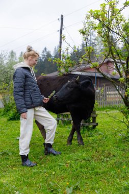 Huzurlu kırsal bir ortamda, gülümseyen genç bir kadın canlı yeşillikler arasında yavaşça siyah bir inekle temas kurar, hayvanlar ve doğayla olan bağını sembolize eder..