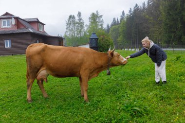 Görüntü, canlı yeşil bir tarlada kahverengi bir ineğe sevgiyle uzanan genç bir kadını yakalıyor. Büyüleyici bir ahşap kulübesi ve ağaçlık bir arazisi var..