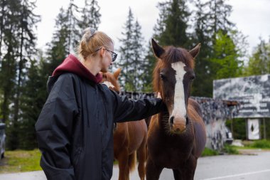 Bir insan, ağaçların arkasına kurulmuş kahverengi bir atla nazikçe etkileşime girer. Sahne, insanlar ve hayvanlar arasındaki bağlantıyı gösteriyor. Doğanın dingin güzelliğini vurguluyor..