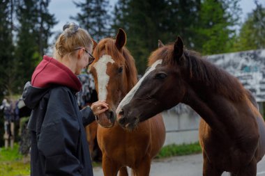 Bu görüntüde, bir kadın iki atla karşılaşır, koklamaları için onlara yardım eli uzatır. Bu sahne, insanlar ve hayvanlar arasındaki doğal bağın bir göstergesidir..