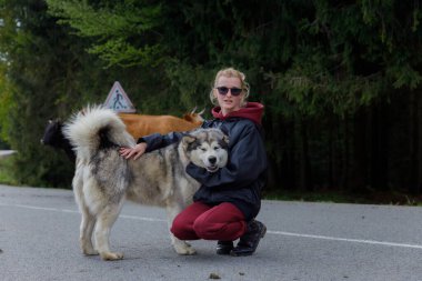 Bu huzurlu görüntüde, genç bir kadın huzurlu bir yolda Alaska Malamute 'nin yanında diz çöker, ormanın arka planında inekler otlar, ahenkli bir kırsal manzara sergiler..