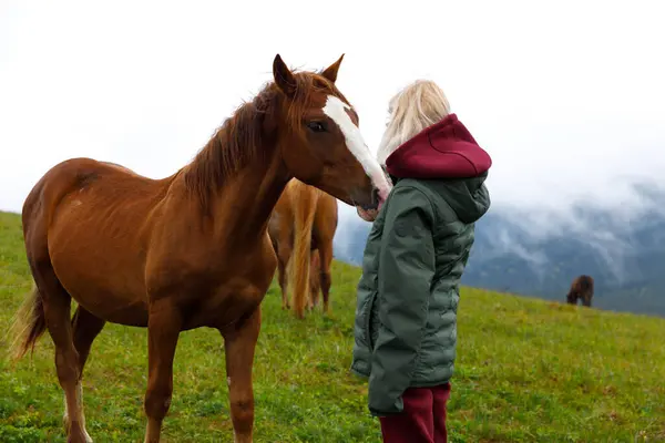 Bu yürek ısıtan görüntü, kestane atına yakın duran genç bir kızı yakalıyor. İnsanlar ve hayvanlar arasında huzurlu bir doğal ortamda paylaşılan özel bağı vurguluyor..
