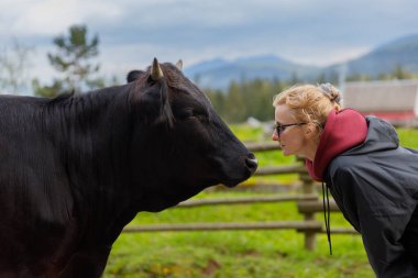 Bu büyüleyici görüntüde, genç bir kadın siyah bir ineğe doğru eğilir, yemyeşil bir manzaranın ve kayan tepelerin arasında iç açıcı bir etkileşim yaratır..
