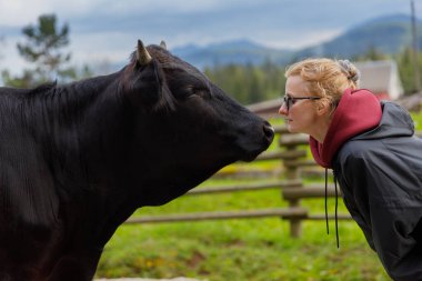Bir kadının neşe içinde siyah bir ineğe doğru eğildiği, yeşil ve dağlarla dolu güzel bir kırsal alanda insanlarla hayvanlar arasındaki bağı vurguladığı neşeli bir an..
