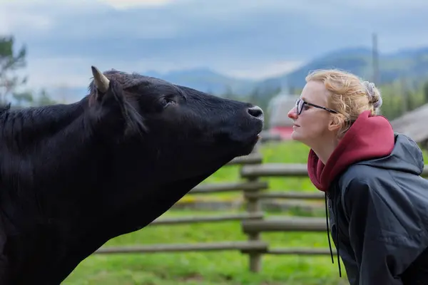 Bu dokunaklı sahnede, bir birey siyah bir inekle yakın etkileşim içinde, sakin ve resimli bir çiftlik ortamında insanlarla hayvanlar arasındaki bağı sergiliyor..
