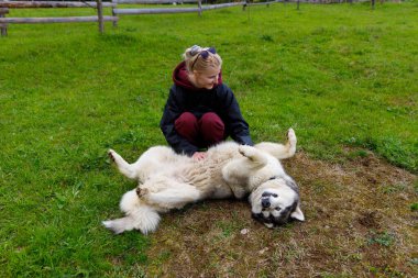 Sakin bir açık hava ortamında, genç bir kadın çimenlerde sırtüstü uzanmış nazik, tüylü bir köpekle keyifli bir anı paylaşıyor, doğadaki insanlar ve hayvanlar arasındaki bağı gösteriyor..