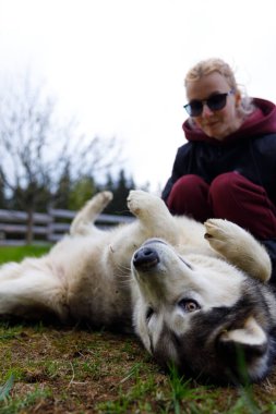 Bu keyifli sahnede, neşeli bir köpek çimenlerin üzerinde sırt üstü yuvarlanırken, gülümseyen bir insan yakınlarda dinleniyor, huzur verici bir açık hava ortamında iç açıcı bir bağ kuruyor..