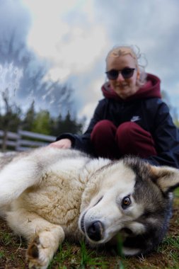Bir insan ve bir kurt adam arasında yakın bir bağ bulunan sakin bir açık hava sahnesi, neşe, arkadaşlık ve doğa ile çevrili evcil hayvanlarla vakit geçirmenin güzelliği..