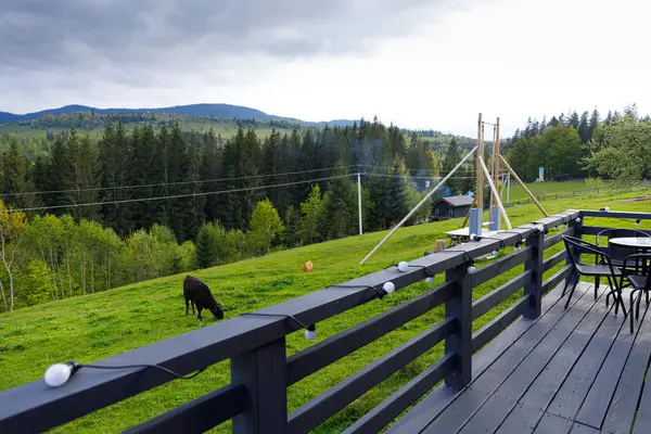 Bu güzel görüntü, yemyeşil çayırların, otlak hayvanlarının ve bir ahşap salıncak setinin yer aldığı sakin bir manzarayı gözler önüne seriyor..