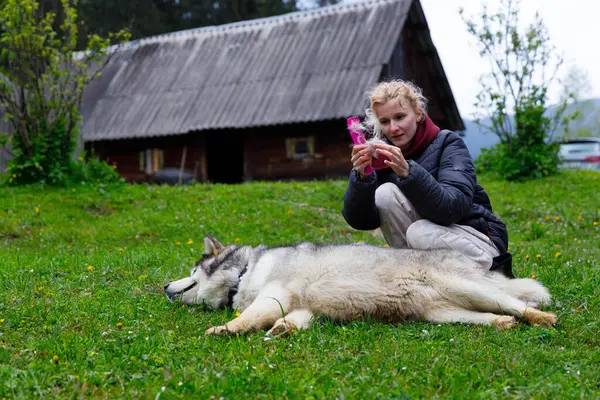 Barışçıl bir açık hava sahnesinde, bir kadın köpeğini titizlikle kır evinin yakınındaki yumuşak yeşil çimlerde tımar eder, çiçek açan çiçekler ve dingin bir ortam için verimli bir doğa ile çevrili..