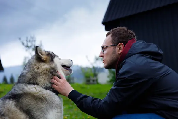 Bu sakin açık hava sahnesinde, bir adam büyüleyici Alaska Malamute ile kibarca etkileşime girer, yemyeşil bir manzara ve arka planda kasvetli bir gökyüzü arasında derin bir bağ gösterir..