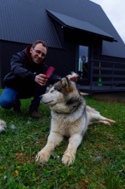 Bu resim, Sibirya Husky 'si ile bir adam arasındaki hoş etkileşimi yakalıyor. Köpeğin kürkünü pembe bir tarakla nazikçe fırçalıyor..