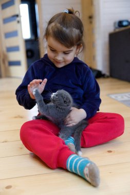 Bu iç açıcı sahnede, rahat kıyafetler giymiş küçük bir kız gri bir kedi yavrusuyla neşeyle oynuyor, samimi bir odada sevgi ve masumiyetle dolu hoş bir bağ kuruyor..