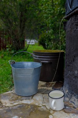 Bu barışçıl dış mekanda, arka planda canlı yeşillik ve kırsal bir konteynır ile çerçevelenmiş taştan bir yüzeyde, beyaz bir kupanın yanında eski bir metal kova duruyor..