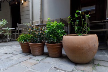 Serinletici yeşillik ve kentsel cazibeyle serinletici açık kafe ortamını vurgulayan, parke taşı bir yolda dizilmiş canlı bitkilerle dolu terracotta tencerelerinin hoş bir düzenlemesi..