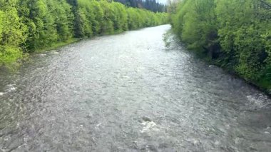Bir dağ nehri, dağlık düz bir bölgenin ortasında güçlü bir akıntı, yağmurlu hava, su altı taşları, tatlı su, bir su akıntısı, sığ bir su deposu.