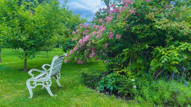 Bu resimde, dekoratif beyaz bir bank, canlı yemyeşil çimenler, çiçek açan pembe çalılar ve bulutlu gökyüzü tarafından güçlendirilmiş huzurlu bir atmosfer yer alıyor..