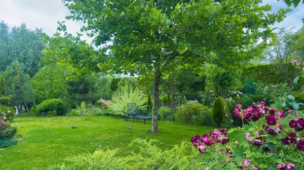 Bu çarpıcı bahçe renkli çiçeklerin zengin bir gösterisini, konfor sağlayan gölgeli bir ağacı ve sakin bir oturma alanını içeriyor, ziyaretçileri doğanın güzelliğinin tadını çıkarmaya davet ediyor..