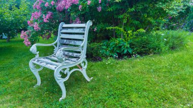 Güzelce yıpranmış beyaz bir demir bahçe bankı, renkli çiçekli bitkilerle çevrili yemyeşil çimlerin üzerinde zarifçe oturmakta, bu da onu açık havada dinlenmek için davetkar bir yer haline getirmektedir..