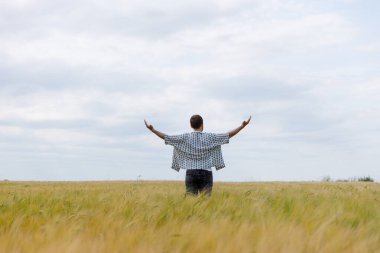 Yalnız bir figür altın buğdayın ortasında duruyor, kollarını bulutlu gökyüzüne doğru uzatmış, özgürlüğün ve doğayla olan bağın somutlaşmış, sakin, açık bir arazide..