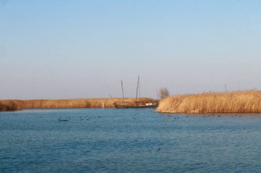 Her iki tarafında altın kamışların olduğu huzurlu bir nehir manzarası, suya nazikçe demirlemiş küçük bir tekne, ve anın sükunetini arttıran mavi gökyüzü..
