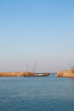 Altın sazlıklar ve berrak mavi gökyüzü tarafından çerçevelenmiş sakin sularda yüzen yalnız bir teknenin manzarası doğanın güzelliğini ve huzur dolu manzarasını gözler önüne seriyor..