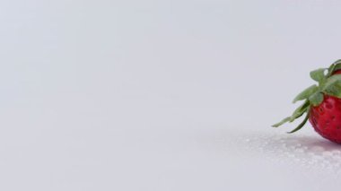 Doğanın ahengini canlı çilekler ve dingin bir derede, yemyeşil ve ferahlatıcı su damlacıklarının arasında, duyguları büyüleyen neşeli bir köpekle keşfedin..