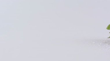 Doğanın güzelliğini çileklerin üzerine serinletici damlacıklar, ışıldayan su yüzeyleri ve sakin nehirler ile keşfedin, hepsi yumuşak, minimalist bir zemin üzerine kuruludur..