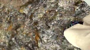 Ayaklar akan su, kaya ve yeşillik ile etkileşime girerken huzurlu bir orman ortamında kendinizi bu huzurlu yolculuğa bırakın..