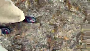 Dikey video Bu sakin sahne ayaklar su geçirmez ayakkabılar sığ bir derede duruyor, Çakıl taşları üzerinde akan suyun güzelliğini sergiliyor ve yüzeyin altında görünen kayalar.