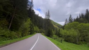 Dolu yeşil ağaçlar ve sık ormanlarla çevrili dolambaçlı bir yolun dinginliğini hisset. Hepsi karamsar, bulutlu bir gökyüzünün altında..