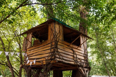 Bu büyüleyici ağaç evi, sarmaşıklarla bezenmiş kırsal ahşap bir tasarıma sahip. Yeşilliğin ortasında, yaratıcı oyun ve keşif için mükemmel, tuhaf bir geri çekilme yaratıyor..