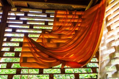 Bu resim, ahşap kaplamalı bir yapının içine sarılı canlı turuncu kumaş sergiliyor, dışarıda görünen yemyeşil yemyeşil, yumuşak doğal ışıkla yıkanmış, çarpıcı bir tezat oluşturuyor..