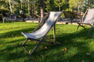 Görüntü, yemyeşil çimenlikte uzanan, ağaçlar ve hafif güneş ışığıyla çevrili, doğal ortamda rahatlamak için ideal sandalyelerle huzurlu bir açık hava sahnesi sergiliyor..