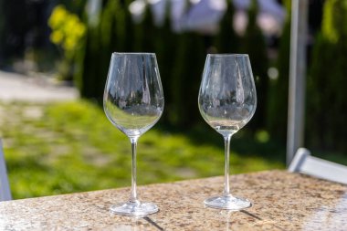 Görüntü, parlak güneş ışığıyla aydınlatılmış renkli ve canlı bir bahçe zeminiyle çevrili parlak bir granit masaya yerleştirilmiş iki güzel el yapımı şarap bardağını içeriyor..