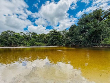 Barışçıl bir nehir yatağının panoramik manzarası. Bereketli yağmur ormanları bulutlu mavi gökyüzünün altındaki sakin sulara yansıyor. Huzurlu bir doğal manzara, rahatlama ve yansıma için ideal..