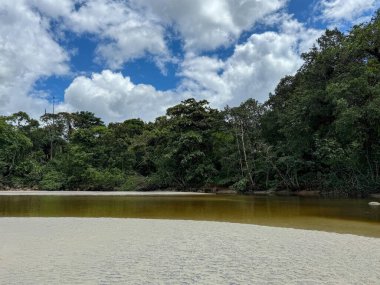 Parçalı bulutlu bir gökyüzünün altında, sakin nehir altın sularını yansıtırken, çevreleyen yeşil ağaçlar biraz tazelik sunuyor.. 