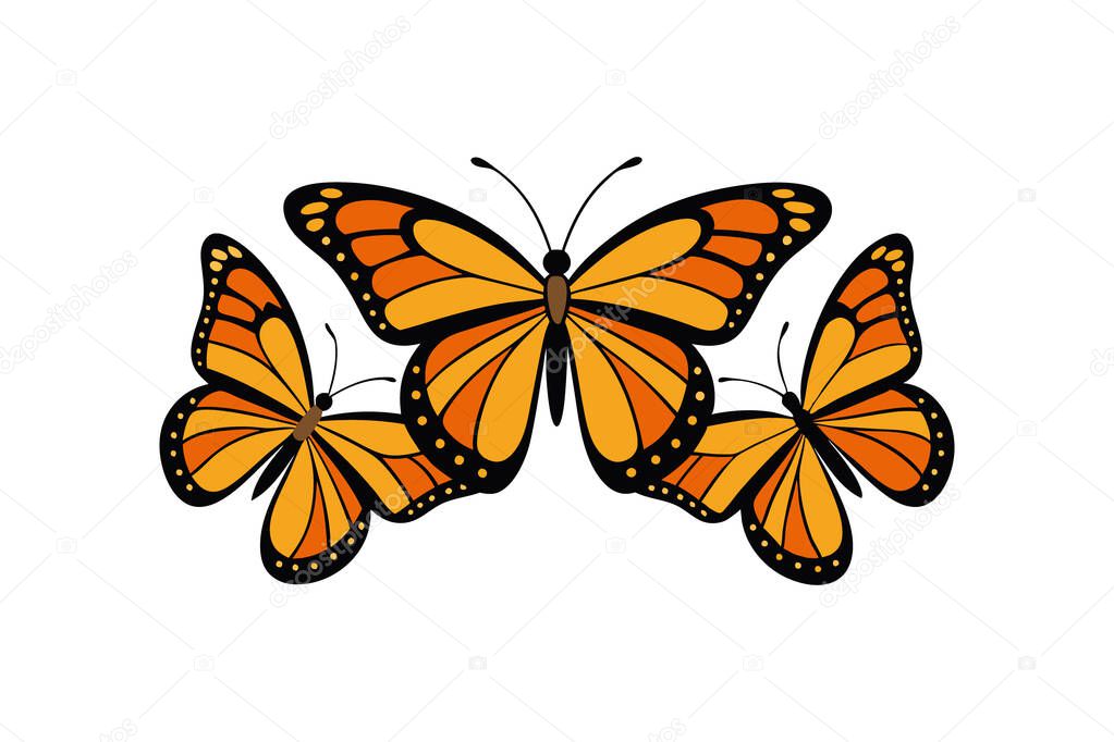 Monarch Butterflies Vector Art Design