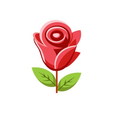 izole gül çiçek tasarımı vektörü