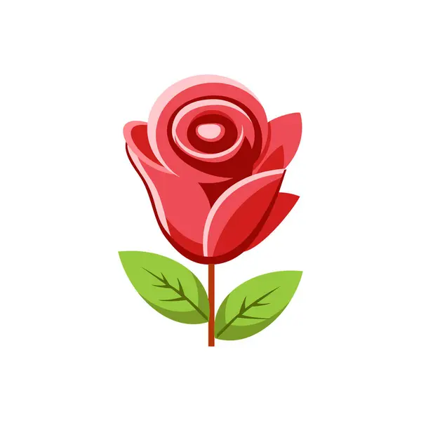 izole gül çiçek tasarımı vektörü