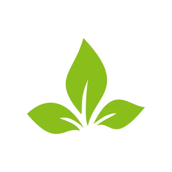 Yeşil yaprak ekolojisi doğa elementi beyaz üzerinde izolasyon