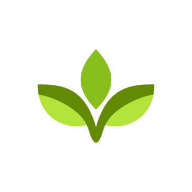 Doğa yaprağı logo şablonu vektörü