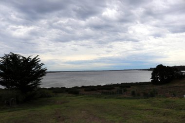 Arka planda Connewarre Gölü manzarası (Geelong, Avustralya).